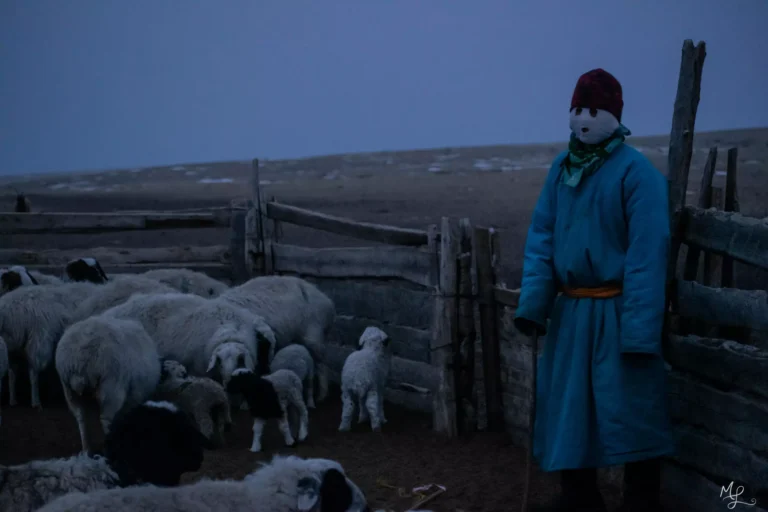 A young nomadic herder taking his flock out just before sunrise.