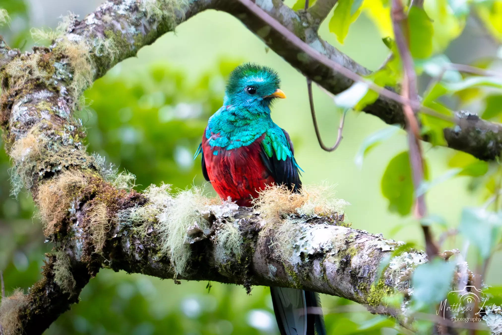 AnyConv.com Costa Rica 19 1
