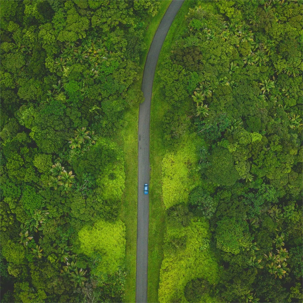 AnyConv.com jono hirst bqbORAVdPdI unsplash 1